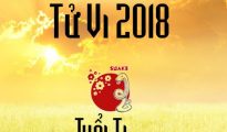 tu-vi-su-nghiep-tuoi-quy-ti-1966-nam-2018-nam-mang